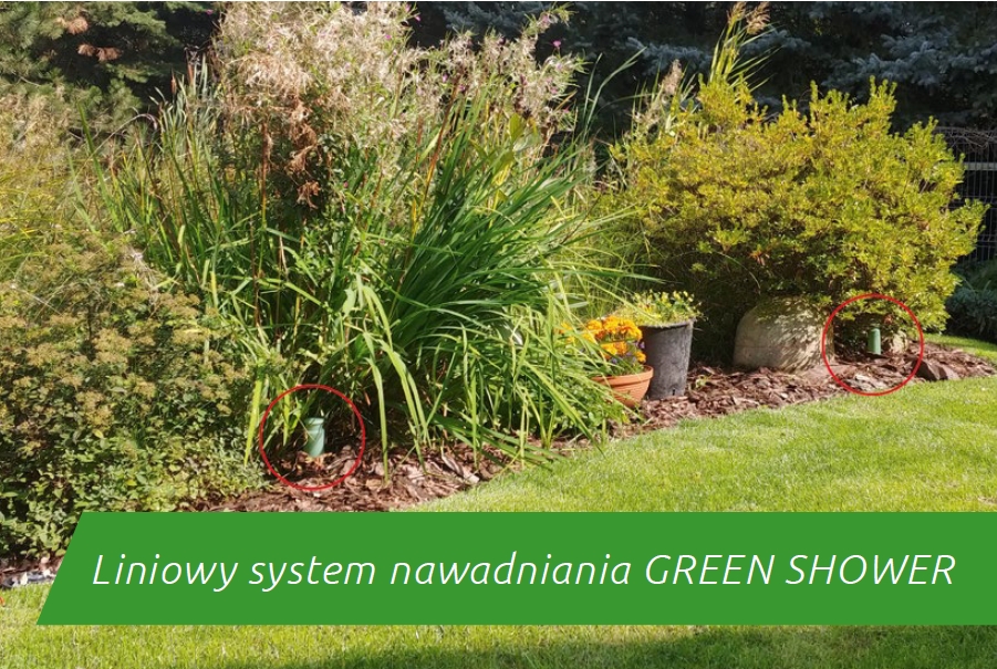 Liniowy system nawadniania ogrodu GREEN SHOWER